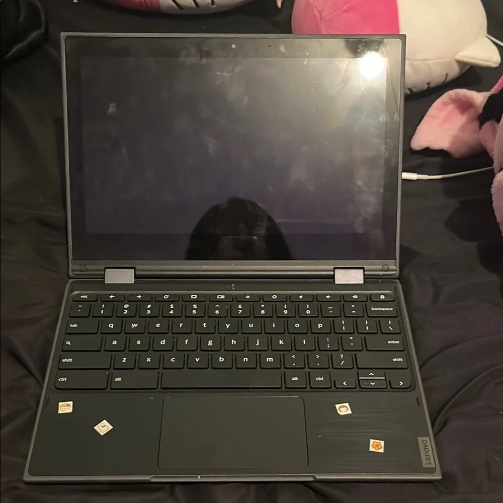 Lenovo Touchscreen Chromebook with Red and Green Floral Accents